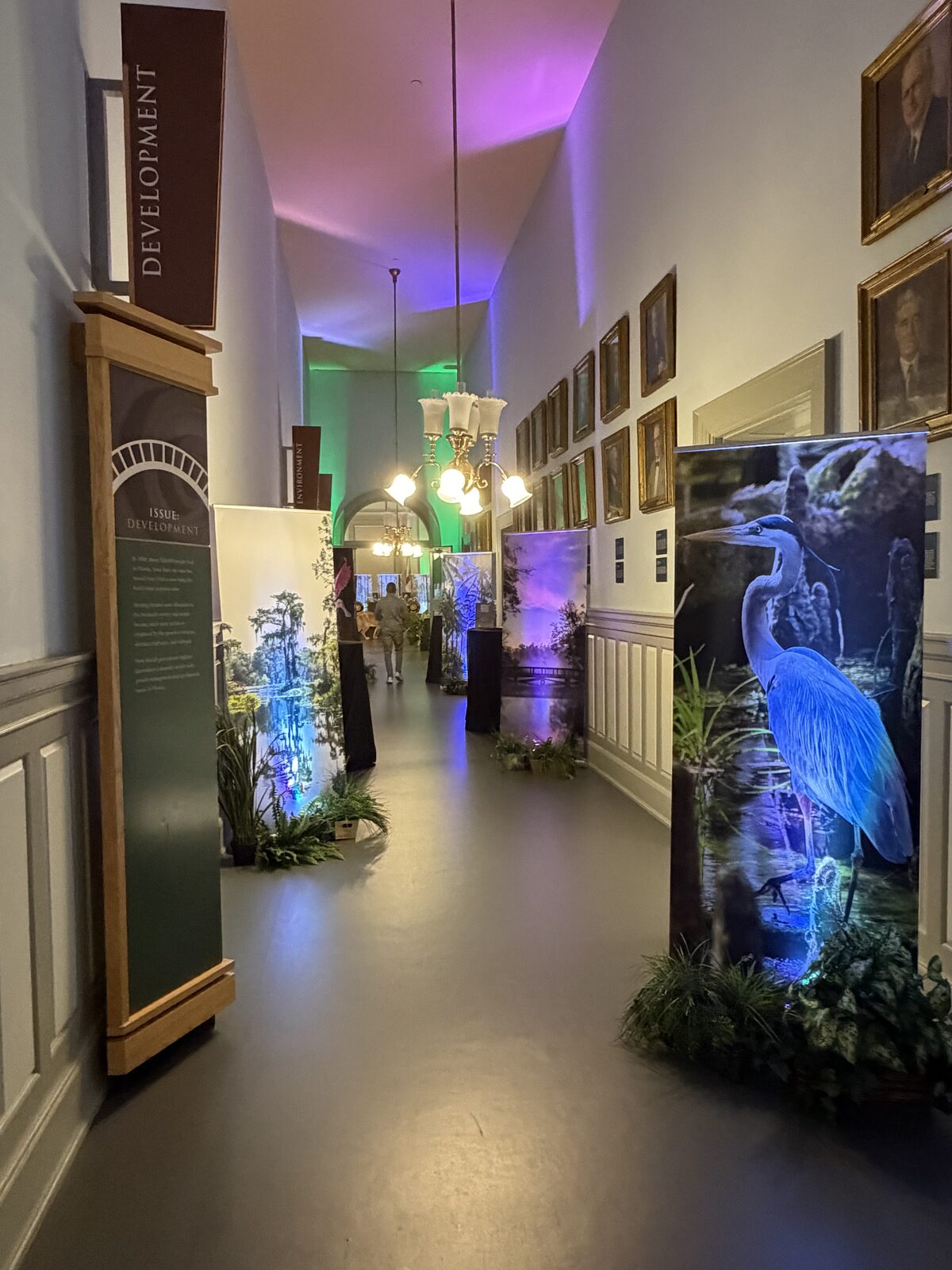Capitol Hall transformed into an outdoor oasis